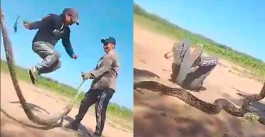 Стрибали як на скакалці: троє хлопців заради забави знущалися зі змії (фото)