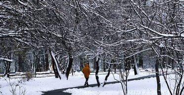 Украинские регионы накрыло первым снегом: где уже наступила зима (фото, видео)