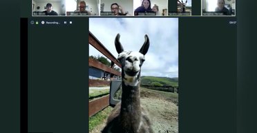 Учимся говорить заново: как эффективно общаться онлайн в условиях кризиса