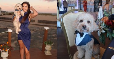 Пухнастий джентльмен: дівчина привела пса як супутника на весілля (фото)