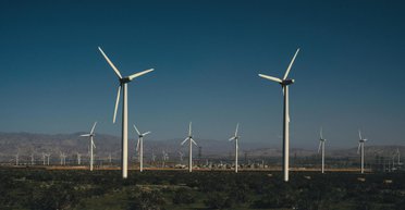 В Германии предложили "снести все ветряные турбины": что об этом известно