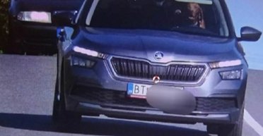 Поганий хлопчик: у Словаччині собака за кермом кросовера Skoda перевищив швидкість (фото)