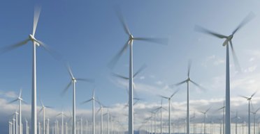 В США заговорили об опасности ветровых турбин: как они могут вредить людям