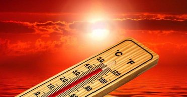 Более 50 температурных рекордов: 2024 год в Киеве стал самым теплым в истории