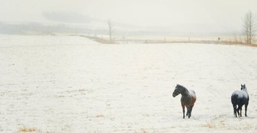 Бессарабия зимой. Музей памятников СССР и другие достопримечательности этнодеревни Фрумушика