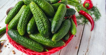 Эксперт посоветовал водителям возить в авто зимой свежий огурец — для чего он нужен