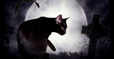 Пятница 13-го: каким знакам Зодиака этот день принесет удачу