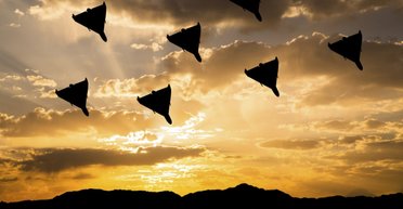 Обстріли України посиляться: РФ зможе запускати до 1000 шахедів за атаку