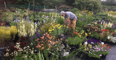 Чоловік заглянув під купу листя і зробив моторошне відкриття у своєму саду (фото)