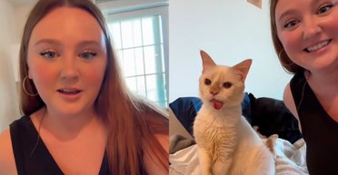 Женщина опоздала с опекой над котенком, но судьба подготовила ей сюрприз (фото, видео)