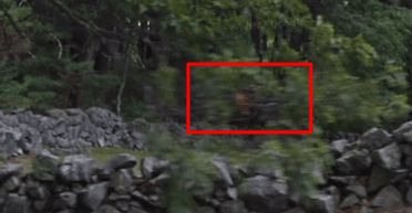 "Моторошне місце": у США жінка біля старого кладовища помітила "обличчя привида" (відео)