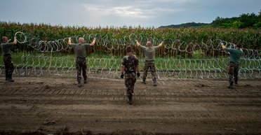 Игры враждебные. Какие государства на границе с Украиной бряцают оружием