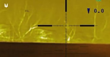 "Поновлюють щоденну статистику втрат": снайпери ССО знищили ворога на Херсонщині (відео)