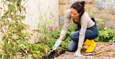 "Треба звідти тікати": жінка відкопала біля дому знахідку часів Першої світової (фото)