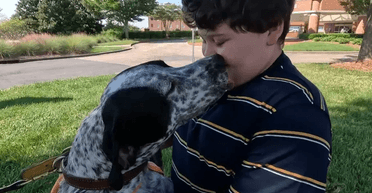 Собача подяка: пес врятував хлопчика, який не дав йому загинути кілька років тому