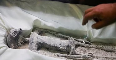 Спроба №2. У Конгресі Мексики показали трупи "інопланетян": нові докази (фото)