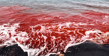 На острове произошел "кровавый" потоп: что его вызвало (видео)