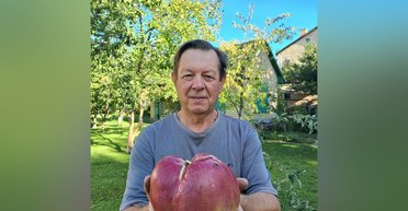 Киянин виростив яблуко вагою 1,28 кг (фото)