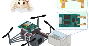 Найдет дорогу без GPS: создан беспилотник с необычной системой навигации (видео)