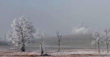 В Украине уже ожидаются первые заморозки: синоптик предупредила, когда это произойдет