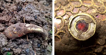 Имеет национальное значение: в Англии нашли редкий англосаксонский клад (фото)