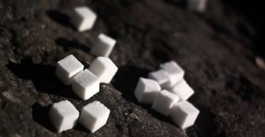 Вуглець у цукор: китайська технологія дає змогу виробляти їжу з вуглекислого газу