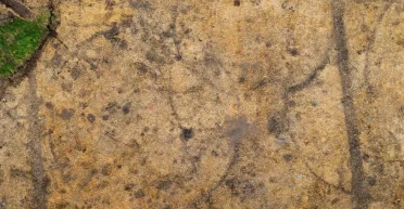 Меняет представление о Британии: во время раскопок поселения обнаружили чудом уцелевший артефакт (фото)