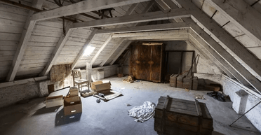 Була налякана: жінка знайшла старовинну валізу за потайними дверима в новому будинку (відео)