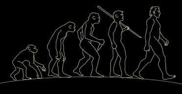 Уже не обезьяны, еще не люди. Видеорассказ об эволюции древних предков людей