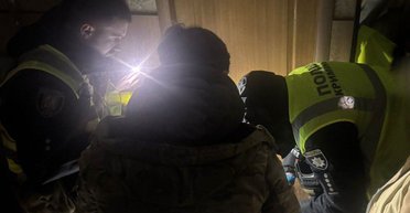 Вовк жив у київській квартирі та покусав господиню: історія отримала продовження (фото)