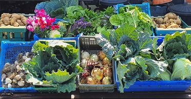 Цены на популярный овощ стремительно растут: сколько придется заплатить украинцам