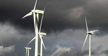 На 30% меньше электроэнергии: что на самом деле вредит ветряным турбинам