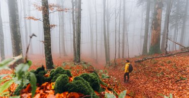 "Теорія Жовтня": психологи дали поради, як змінити своє життя просто зараз