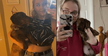 Женщина приобрела маленького щенка мелкой породы: она была шокирована, когда собака выросла