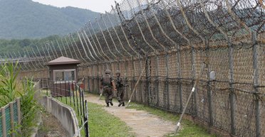 Дом для редких медведей: как минные поля между Кореями создали рай для животных (фото)