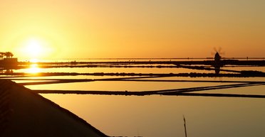 Тисячі гектарів: частина України може опинитися під водою — експертка попередила про загрози