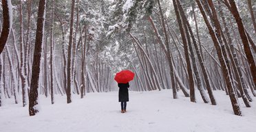 Выйти из летаргии. Как правильно бороться с зимней хандрой