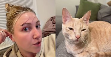 Женщину подставил ее собственный кот перед важным событием: она не знает, как ей быть дальше (видео)