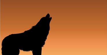 Электрический пес. Что делать  с энергорынком Украины