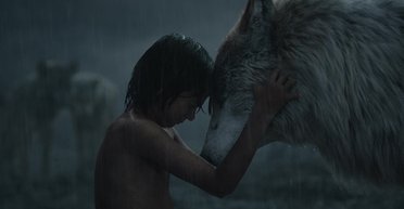 Дожить до внуков. 5 животных, рискующих сохраниться лишь на страницах книг