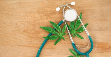 Аптечная трава. Кто и с какой целью хочет легализовать медицинский каннабис в Украине