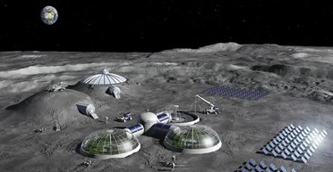 Ці живі істоти допоможуть побудувати і підтримувати в цілості міста на Місяці: що відомо