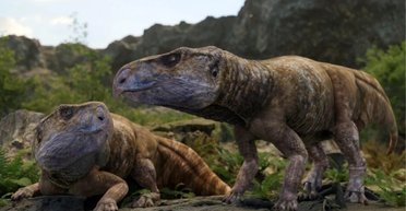 Разгадана крупнейшая тайна динозавров: почему цератопсиды "избегали" Европы (видео)