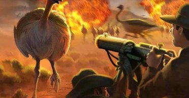 Странная война. За что австралийцы перестреляли 2500 страусов