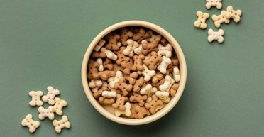 Корм для собак: які бренди забезпечують повноцінний раціон на кожному етапі життя?