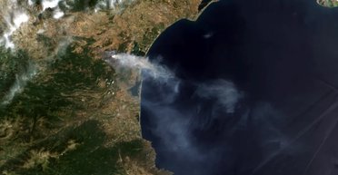 Франція у "вогні": найбільша пожежа за 75 років нищить ліси на півдні (відео)