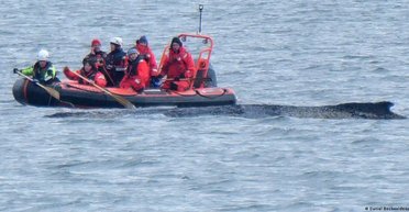 Трагедія у Балтійському морі: сили 15-метрового гіганта, викинутого на мілину, закінчуються (відео)