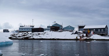 Сюда не дошли агитаторы. Как будут голосовать на антарктической станции "Академик Вернадский"