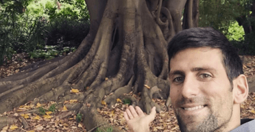 Секрет Новака Джоковича: перша ракетка світу розповів про "особливі" стосунки з деревом