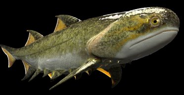 В Китае нашли окаменелости древнейшей челюстноротой рыбы, жившей 439 млн лет назад (фото)